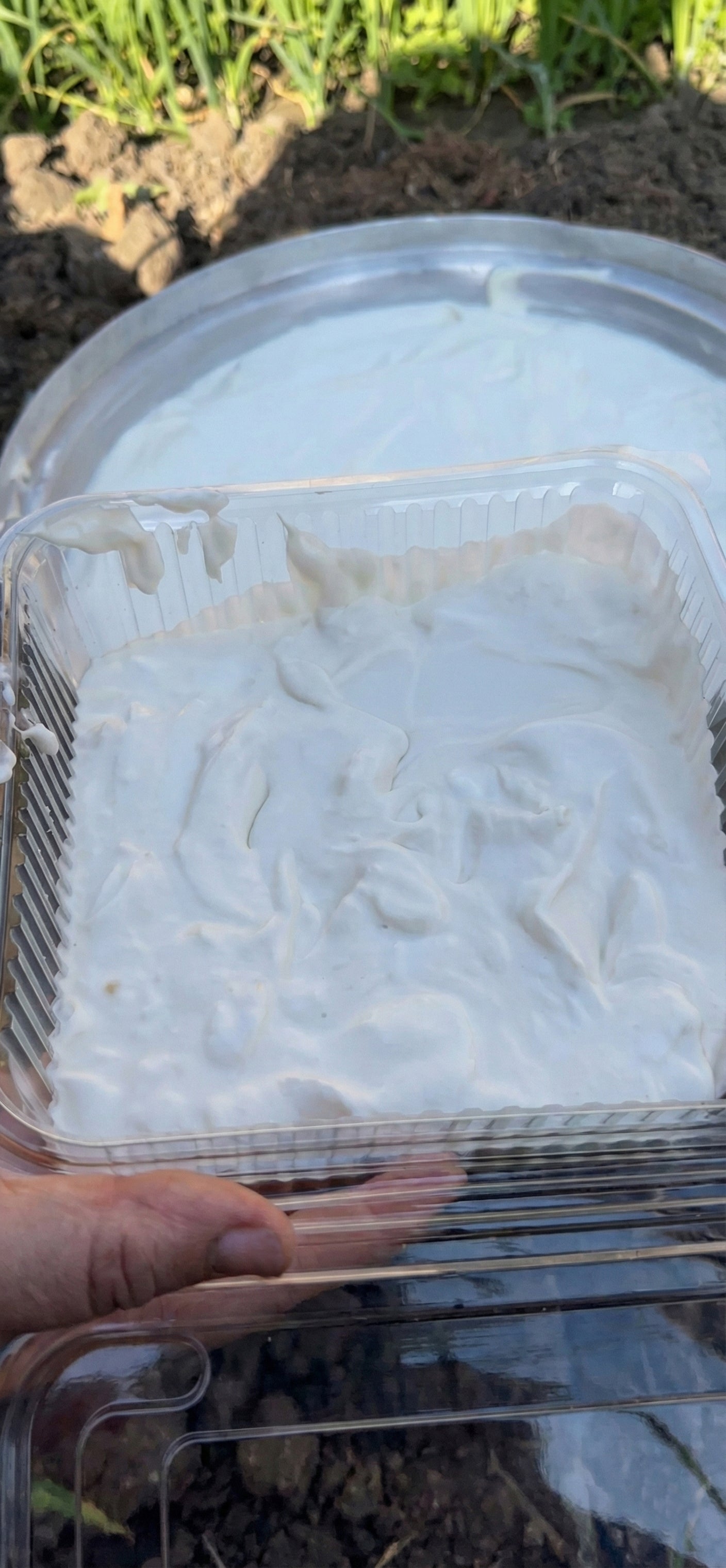 قشطة بلدى طبيعة 100 % ( الكمية : 1 كيلو )